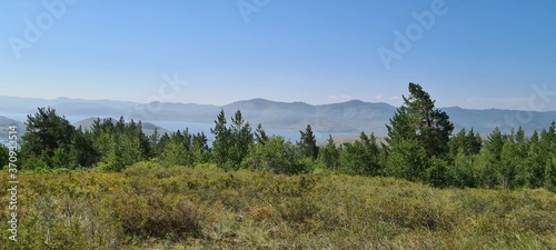 Pine trees in the mountains, lake, forest.