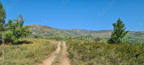 Natural landscape. Path in the forest. The mountains.