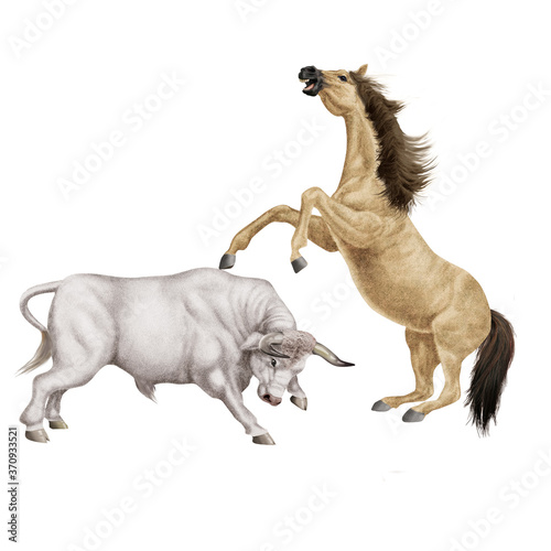  combat de cheval et le taureau  force  attaque  debout  animal  brun  mammif  re  joli  sauvage  agressive  dangereux  illustration  de race  ferme  fond blanc  color    fantastique  muscl    fort