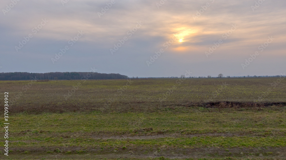 Sunset over an agricultural field in spring. Landscape. Spring twilight. Beautiful evening sky.