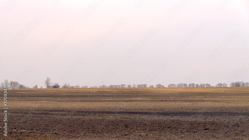 Fototapeta premium Agricultural field on a cloudy spring evening.