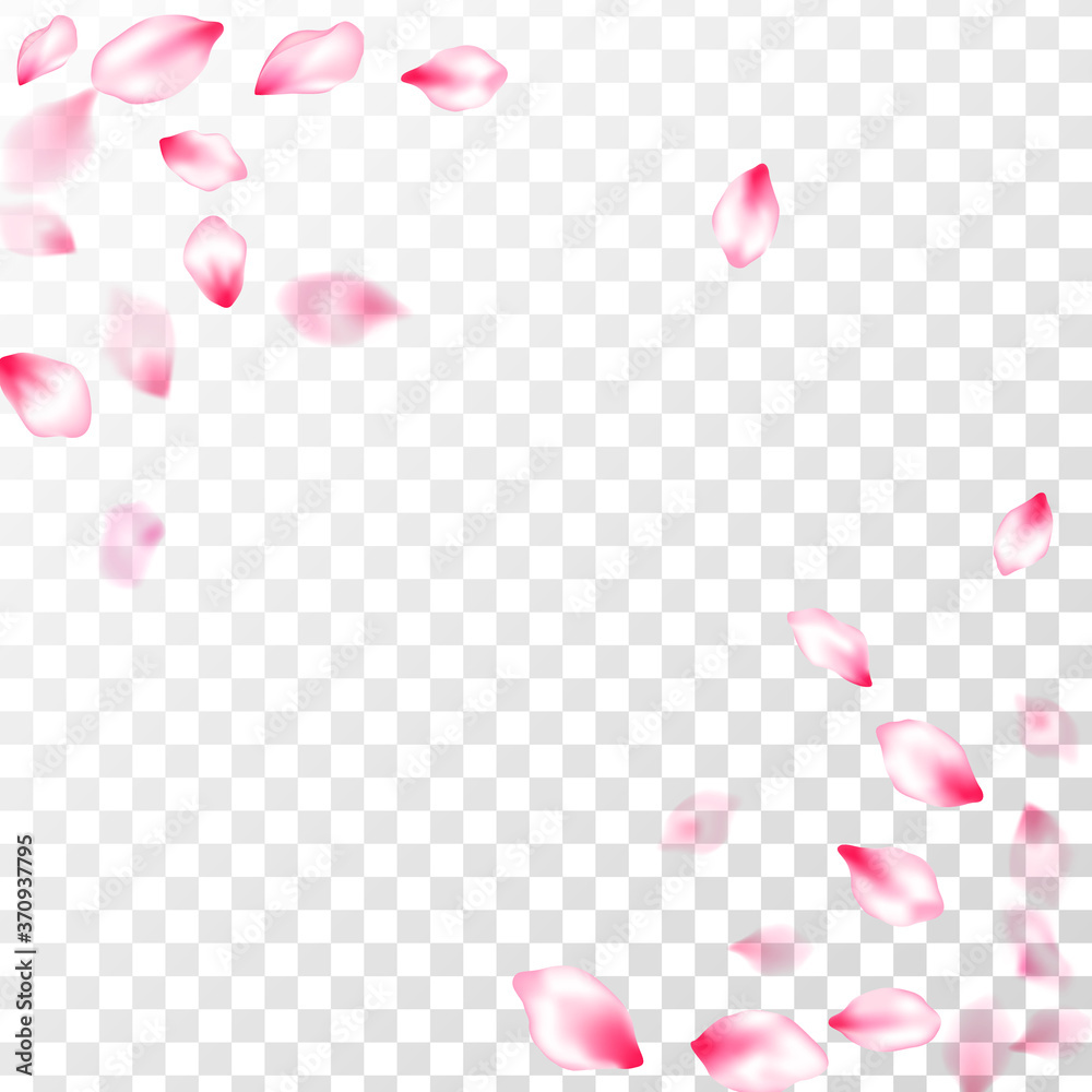 Spring tree flowers parts, airy flying petals Spring tree flowers parts, airy flying petals