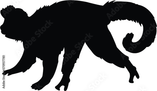 vector illustration of a monkey