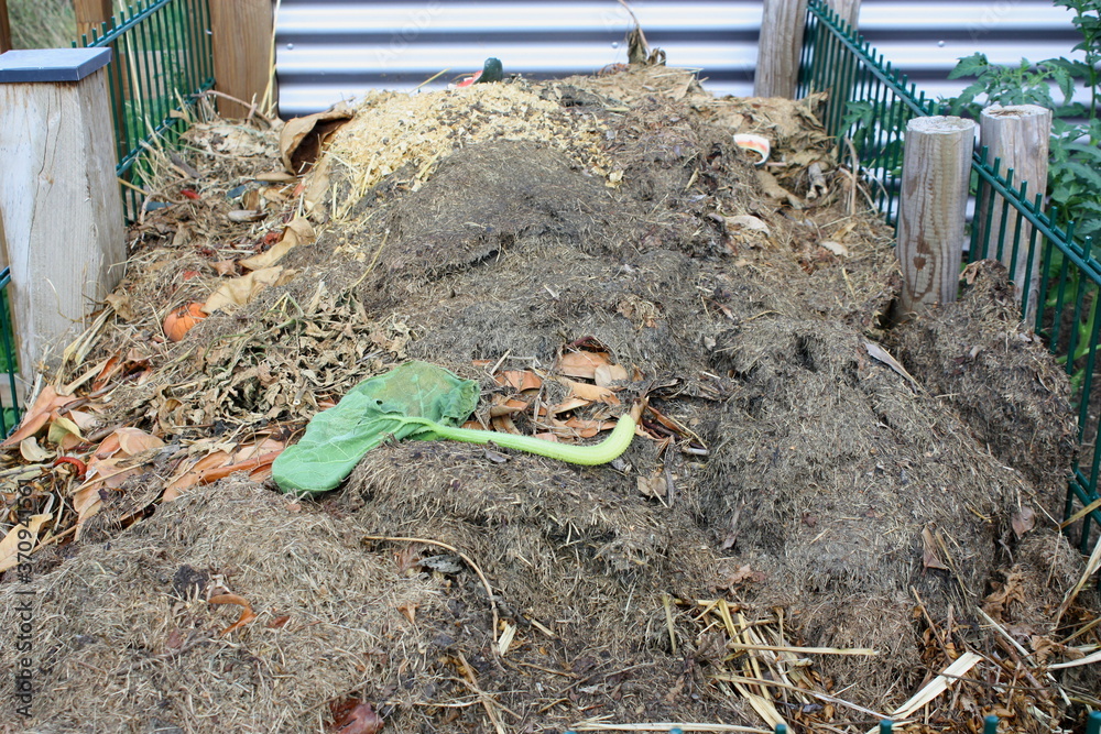 Komposthaufen im Garten mit Holzbalken und Gitter bei Sonnenlicht Stock