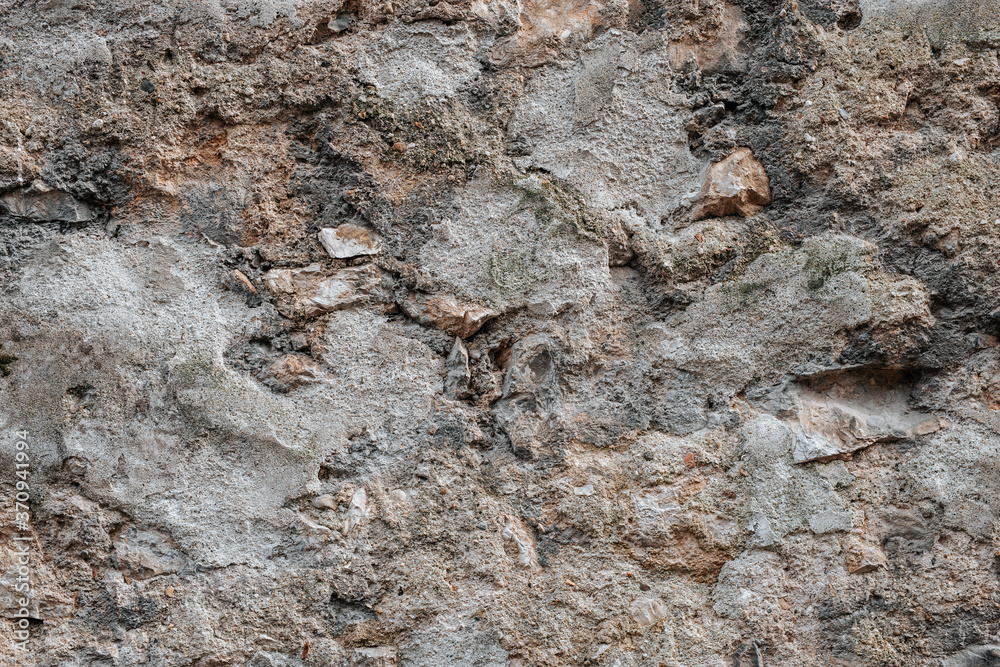 Old concrete or rock wall with green moss and fern Old concrete or rock wall with green moss and fern