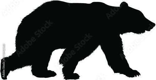 silhouette of bear