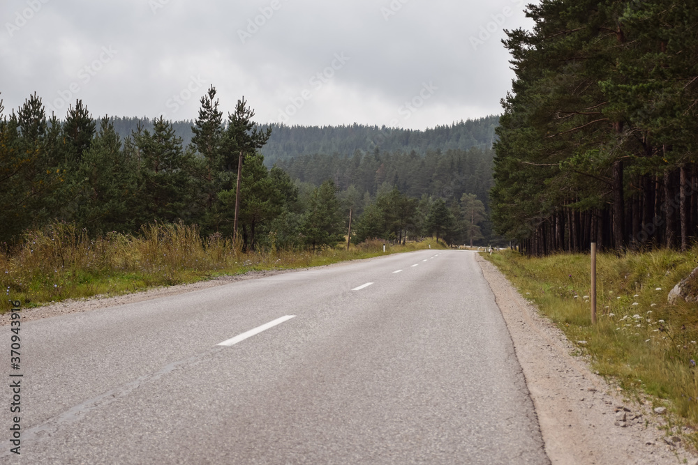 mountain road surrounded by forests in Bosnia