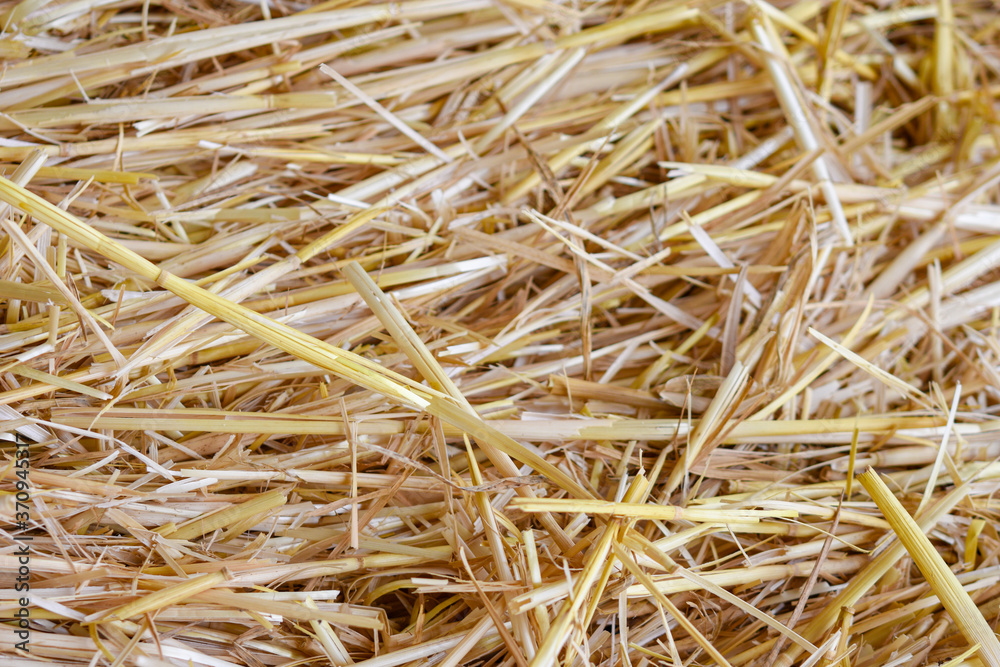 straw background straw background