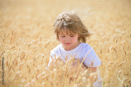 Happy little kids farmer on field. Wheat is a cereal plant, the grain of which is ground to make flour for bread. Small boy enjoy childhood years on farm. Farming and agriculture cultivation.