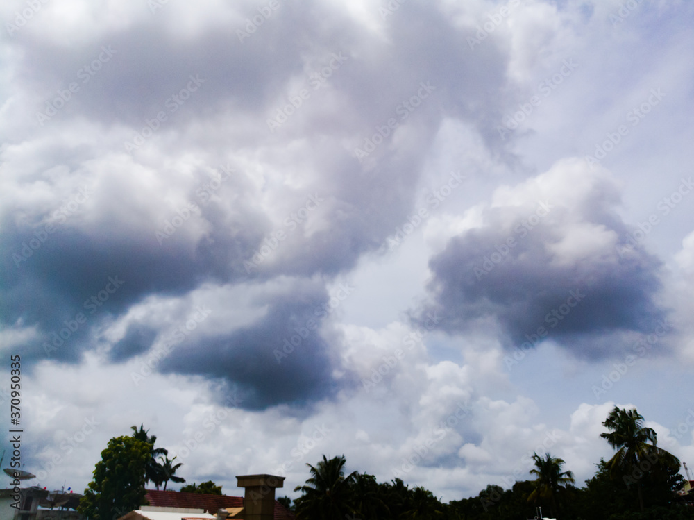Rainy clouds from a far away distance on the top of trees. Rainy clouds from a far away distance on the top of trees.