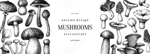 Vintage mushrooms banner. Edible mushrooms vector background. Hand drawn food drawings. Forest plants sketches. Perfect for recipe, menu, label, icon, packaging photo