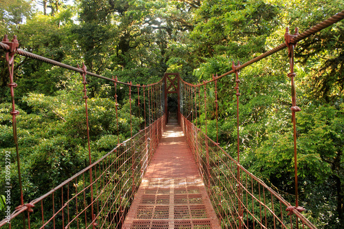 Metallic bridge crossing tropical rainforest in Costa Rica