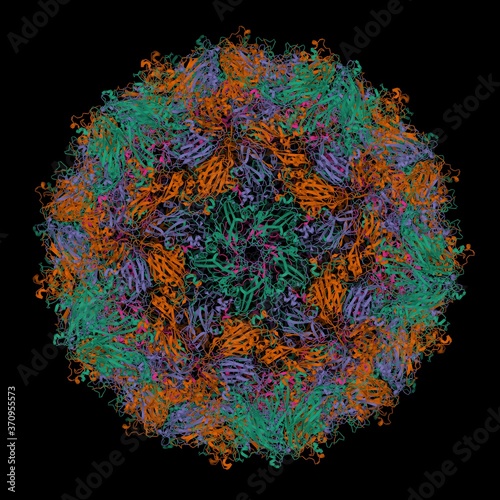 High-resolution crystal structure of Coxsackievirus A24v, 3D cartoon model, black background. Different colors correspond to the different capsid proteins.