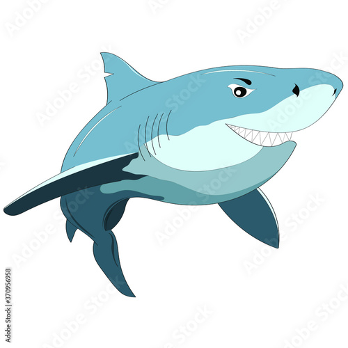 Cartoon shark isolated vector illustration on white background