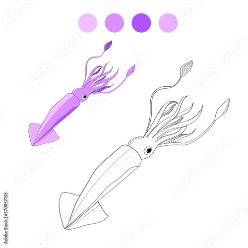 Squid coloring book page. isolated cartoon drawing with color set for kids