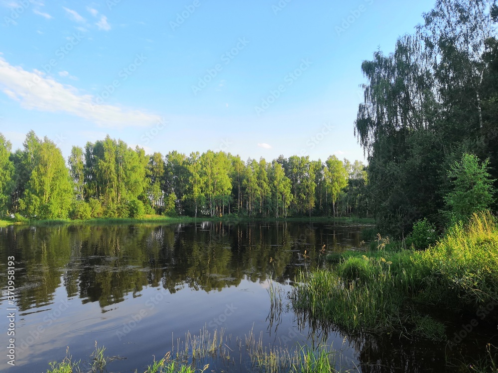 lake in the forest