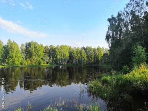 lake in the forest
