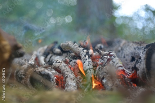 Cooking on the fire, fishing for pike.  © Юрий Фатеев