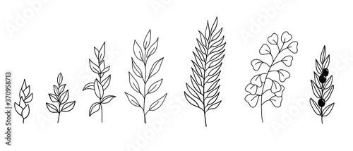 Vector hand drawn set of various silhouette branches with leaves in outline technique on the white background.