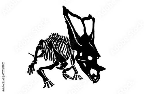 Graphical skeleton of triceratops isolated on white background,vector dinosaur