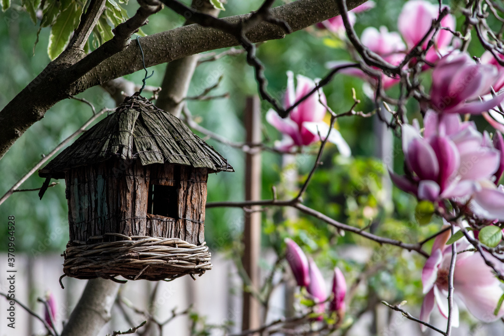 Bird nest amongst magnolia blossoms. Bird nest amongst magnolia blossoms.