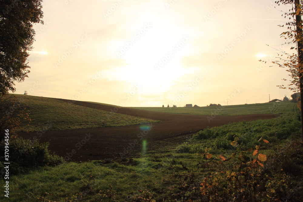 Sunset on countryside field in wallonia