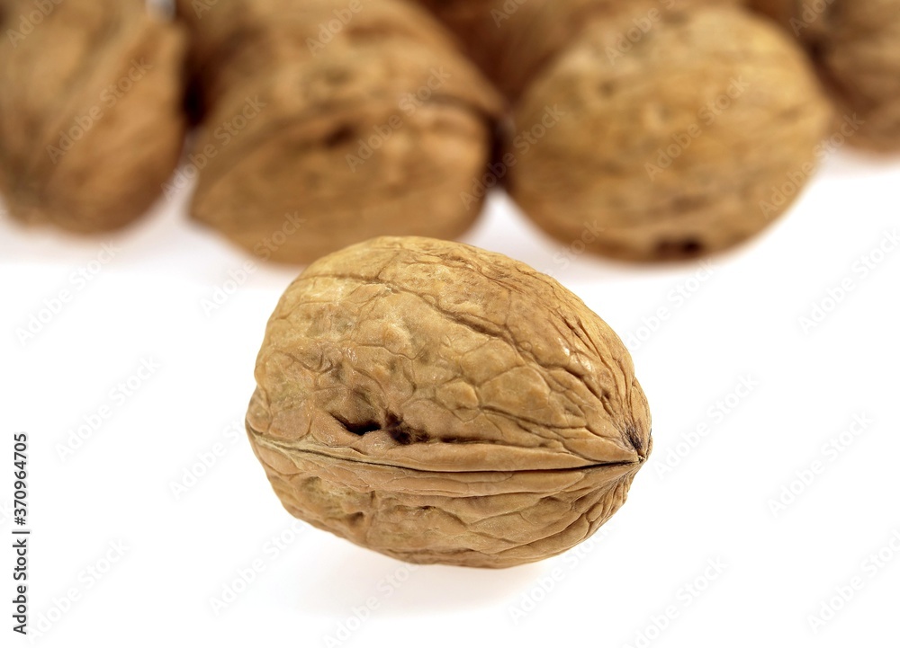 Walnut, juglans regia, Dry Fruit against White Background