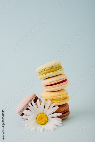 Several colorful macaroon cakes on a colored background