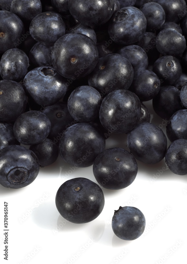 Blueberry or Bilberry, vaccinium myrtillus, Fruits against White Background Blueberry or Bilberry, vaccinium myrtillus, Fruits against White Background