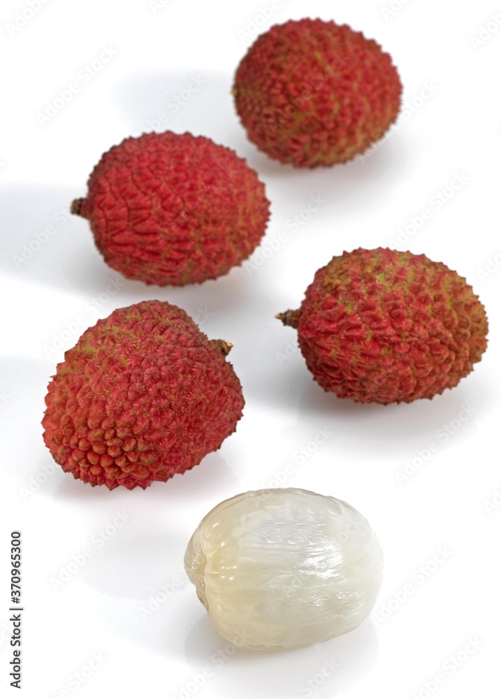Litchi or Litchee, litchi sinensis, Exotic Fruits against White Background Litchi or Litchee, litchi sinensis, Exotic Fruits against White Background