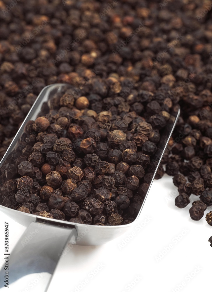 Black Peppercorn, piper nigrum, Black Berries against White Background Black Peppercorn, piper nigrum, Black Berries against White Background