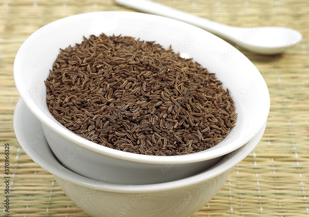 Caraway, carum carvi, Seeds in Bowl Caraway, carum carvi, Seeds in Bowl