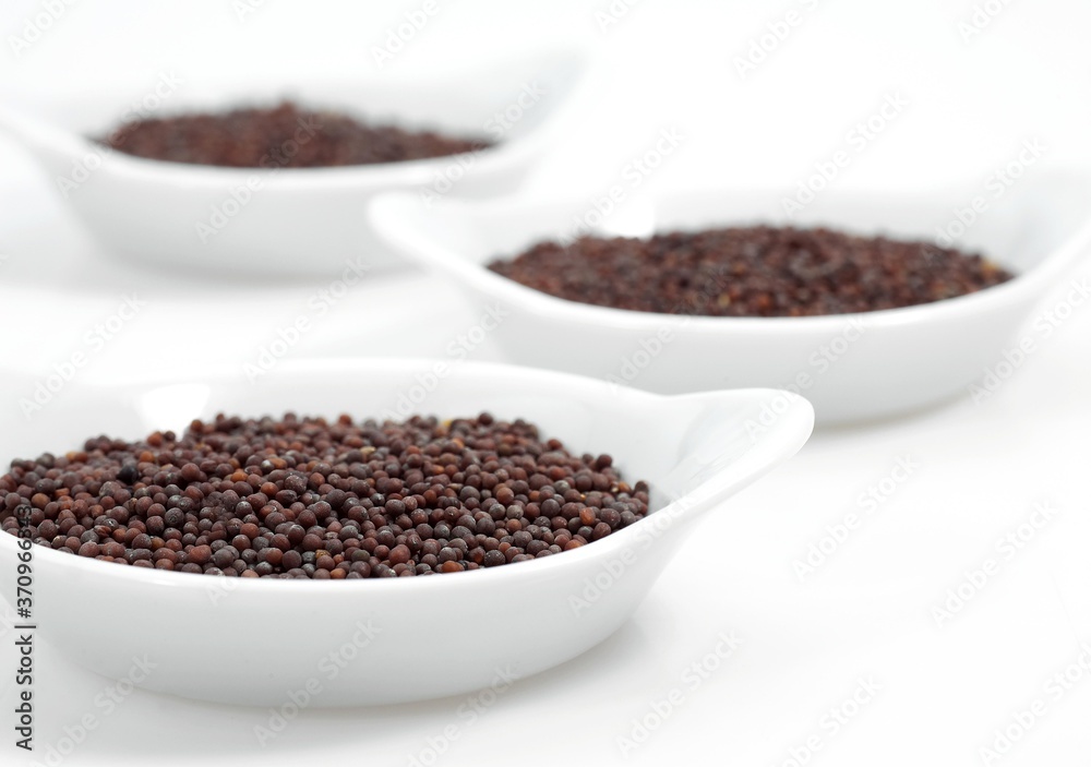 Black Mustard Seeds, sinapis nigra, Dry Seeds against White Background Black Mustard Seeds, sinapis nigra, Dry Seeds against White Background