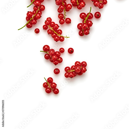 Wallpaper Mural Redcurrant isolated on white