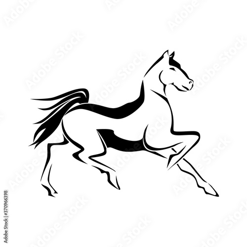 dancing horse illustration creative art