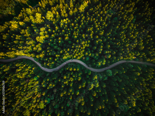 Winding Curvy Road Trough Forest. Aerial Drone Top Down View. Wilderness Landscape