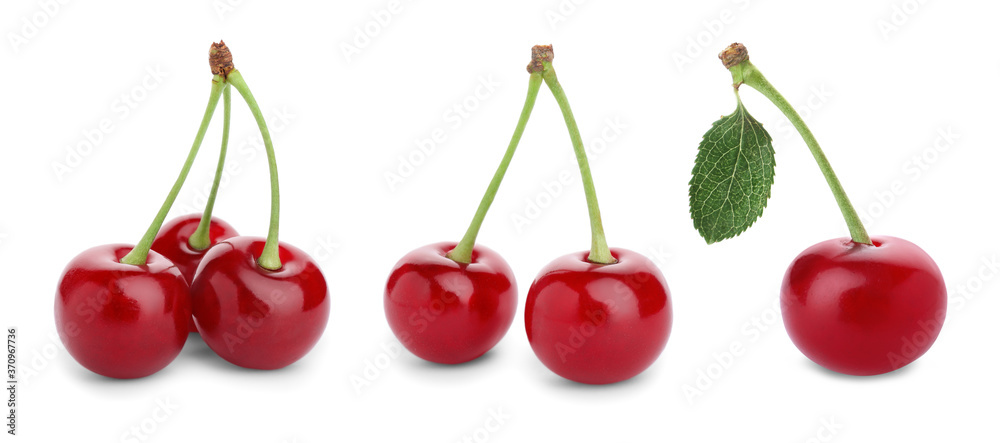 Set of ripe cherries on white background. Banner design Set of ripe cherries on white background. Banner design