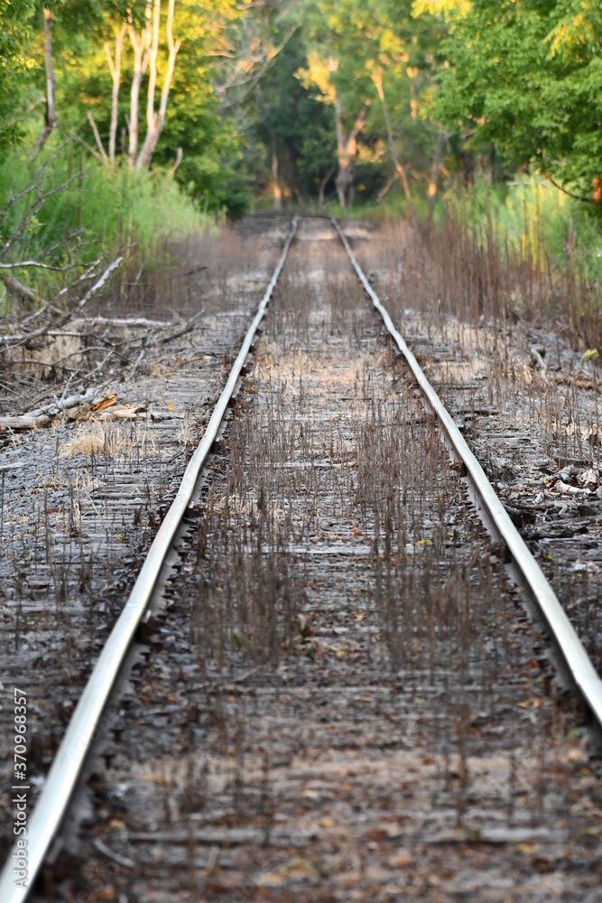 Fototapeta premium Railroad tracks long view grass