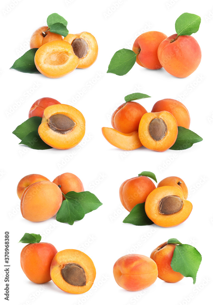 Obraz premium Set of fresh apricots on white background