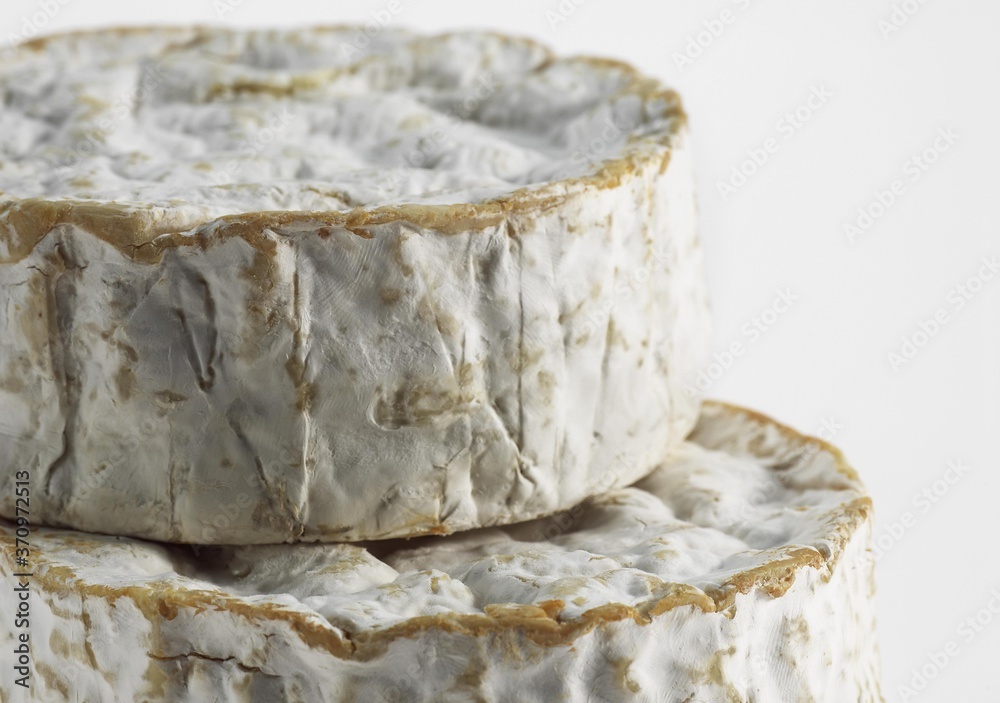 Camembert, French Cheese made with Cow Milk in Normandy Camembert, French Cheese made with Cow Milk in Normandy