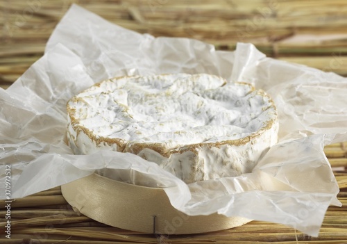 Camembert, French Cheese made with Cow Milk in Normandy
