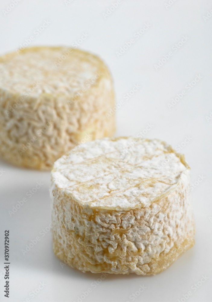 French Cheese Called Crottin, Cheese made with Goat Milk French Cheese Called Crottin, Cheese made with Goat Milk