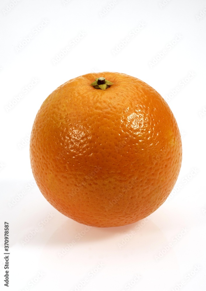 Orange, citrus sinensis, Fruit against White Background Orange, citrus sinensis, Fruit against White Background