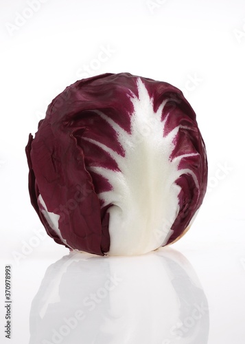 Trevise Salad, cichorium intybus, Vegetable against White Bakcground photo