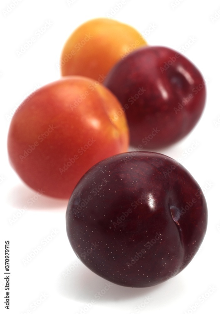 Red and Yellow Plums, Fruits against White Background Red and Yellow Plums, Fruits against White Background