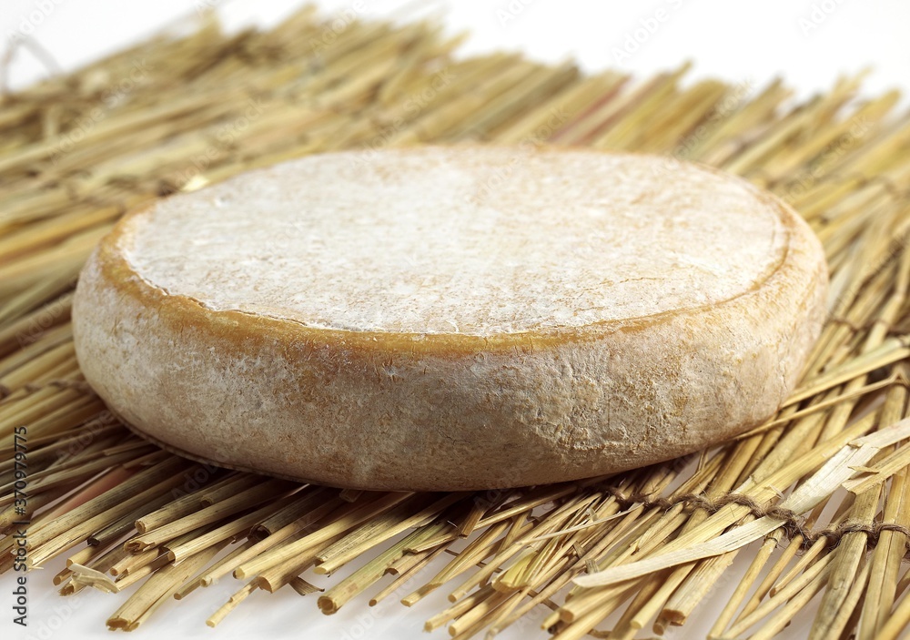 Reblochon, French Cheese from Savoie produced from Cow's Milk Reblochon, French Cheese from Savoie produced from Cow's Milk