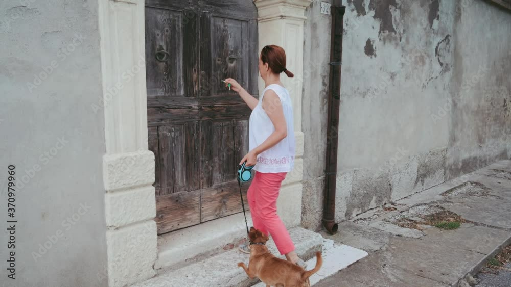 An Attractive Young Woman Play With Dog In Park, Trains To Walk On Bridge, Overcome Obstacles during quarantene. Bright Sunny Day. Concept Of Friendship, Care, Human And Animal Help. An Attractive Young Woman Play With Dog In Park, Trains To Walk On Bridge, Overcome Obstacles during quarantene. Bright Sunny Day. Concept Of Friendship, Care, Human And Animal Help.