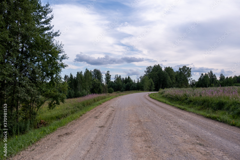 dirt road in the countryside with trees along the edges and a beautiful green meadow
