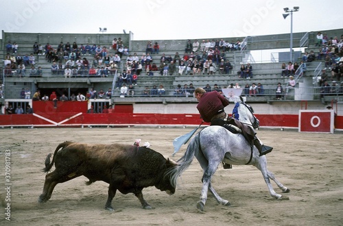 Bullfighting with Horse, Arles in the South of France