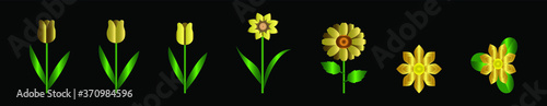 set of flower design template for logo, clip art and more. vector illustration isolated on black background